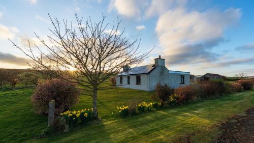 Orphir Cama Y Desayuno | Orkney Bed & Whisky
