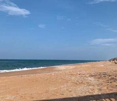 Ormond-by-the-Sea Apartamento | Ormond Beach, fun & loving sun!