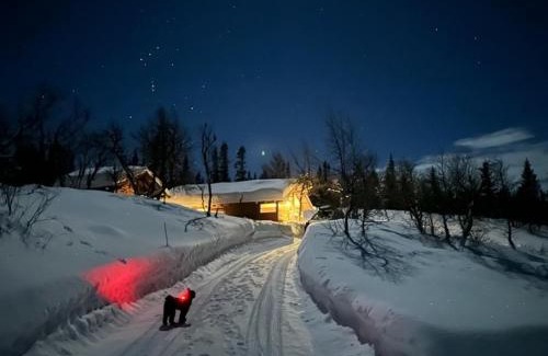 Al Municipality Casa | Orrelie by Norgesbooking - cabin with a lovely view