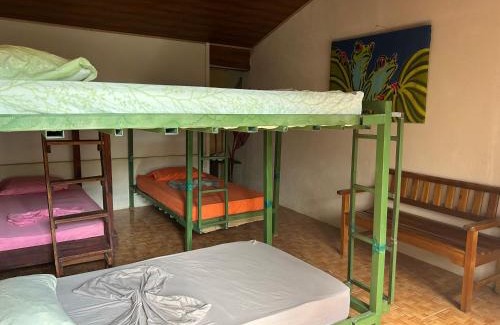 Puerto Jiménez Casa | OSA SURF House