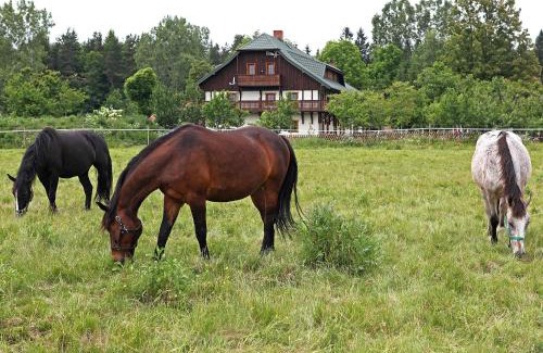 Mirsk Casa | Osada Jeździecka Bata