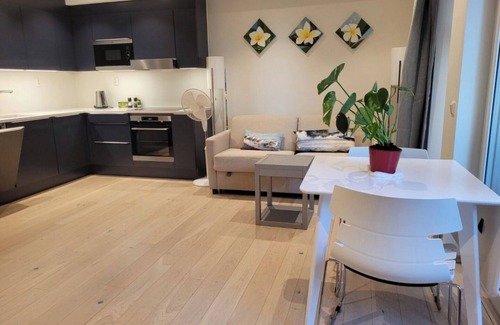 Bjørvika Apartamento | Oslo Center, Norway, your second home.