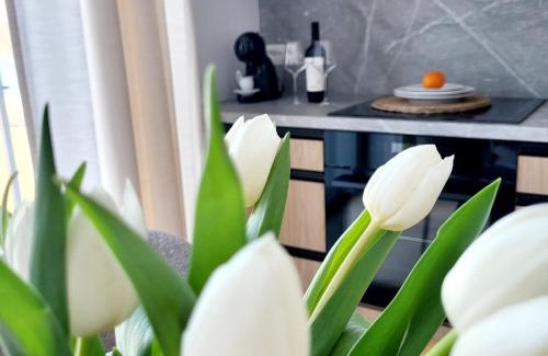 Trygort Apartamento | Ostoja Orli Dziób D7