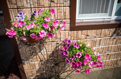 Smolensk Casa | Ostrovok Komforta Guest House