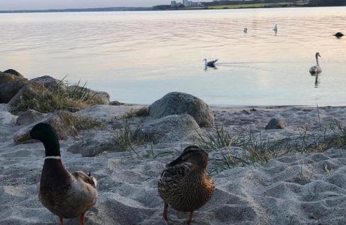 Gronenberg Casa | Ostseecamp Lübecker Bucht Meeresbrise