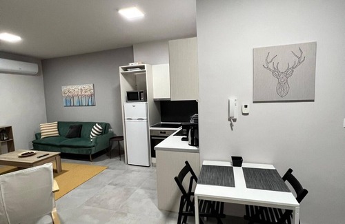 Trikala Apartamento | Othonos 10 str Apartment