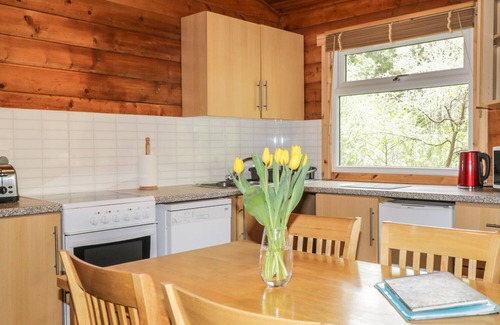 Marybank Cabaña | Otter Lodge, STRATHPEFFER