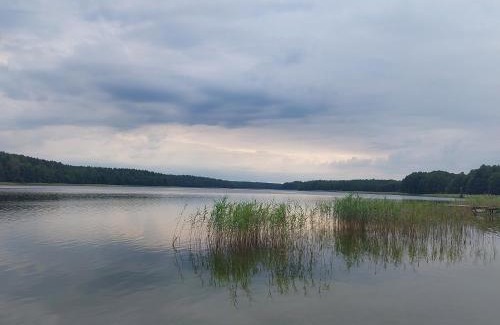 Szczytno Casa | Otulony słońcem - domek do wynajęcia Marksewo