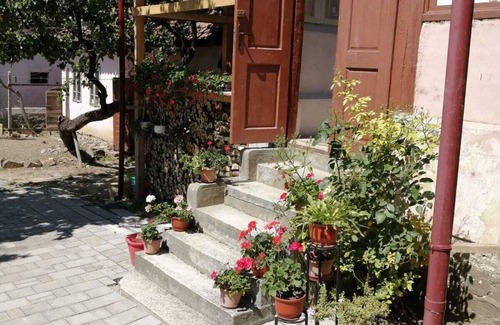 Saliste Casa | Out of the ordinary - Rural Living in Transylvania