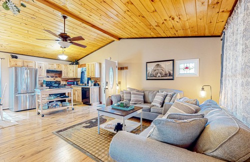 Ellijay Cabina | Outdoor retreat near the river with a firepit & grill - pool, game room, and gym