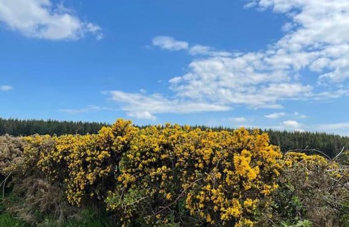 Omagh Casa | Outstanding holiday cottage In Sixmilecross Omagh