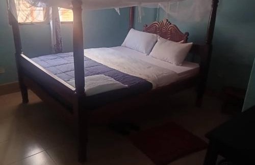 Lira Cama Y Desayuno | Oval Guest House