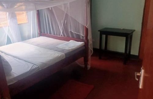 Lira Cama Y Desayuno | Oval Guest House