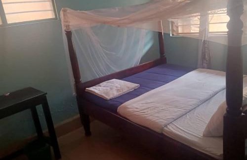 Lira Cama Y Desayuno | Oval Guest House