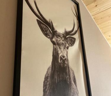 Odernheim am Glan Apartamento | Overkamps - das Ferienhaus