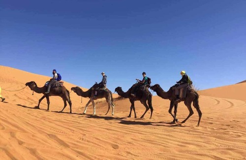 Merzouga Cama Y Desayuno | Overnight Camp Merzouga & Camel Tours