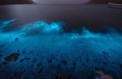 Musandam Governorate Otro | Overnight Musandam 15 tents whole Private camp for groups bathroom and kitchen