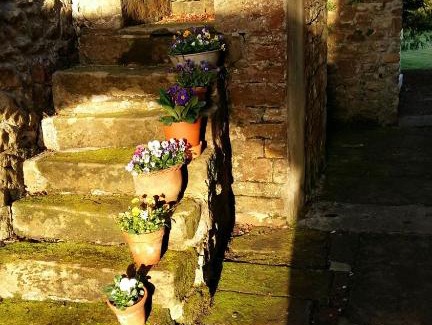 Hallington Casa | Owl Cottage