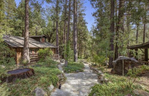 Idyllwild Chalet De Esquí | Owl Pine Cabin on Strawberry Creek
