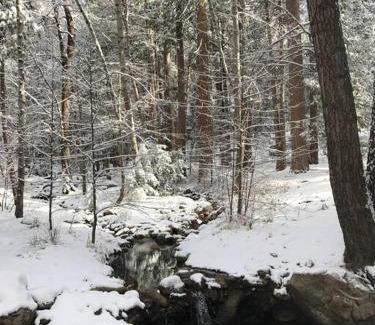 Idyllwild Chalet De Esquí | Owl Pine Cabin on Strawberry Creek