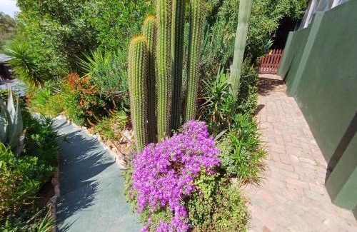 Oudtshoorn Apartamento | Owl's Den 2