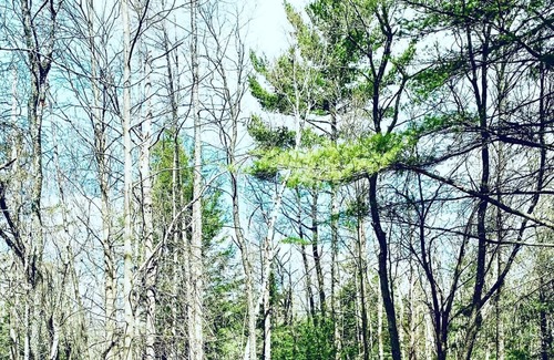 Mansonville Chalet De Esquí | Owl's Head Family Cabin