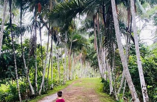 Puerto Narino Casa | Oxígeno Amazónas