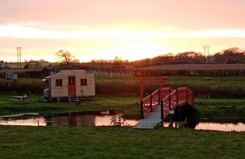 Lyonshall Otro | Ox Box Cabin Lyonshall Kington