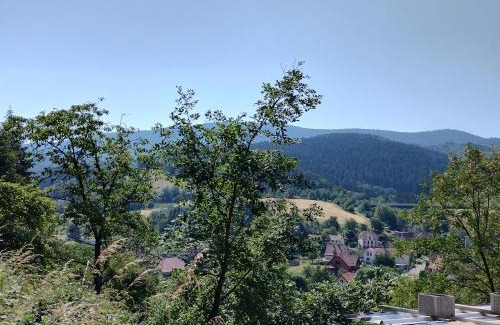 Sainte-Croix-aux-Mines Casa | Oyé