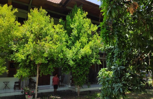 Pemaron Hotel | OYO 90733 Bali Bagus Hotel