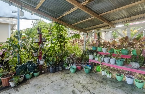 Manado City Centre Casa | OYO Homes 91148 Homesstay Desa Wisata Bahoi Near Ekowisata Mangrove Desa Bahoi