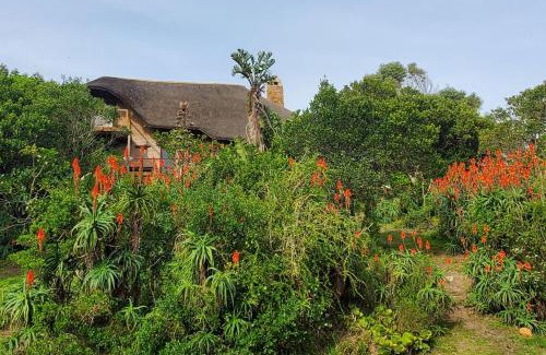 Oyster Bay Casa | Oysterbay Nature Retreat