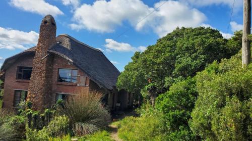 Oyster Bay Casa | Oysterbay Nature Retreat