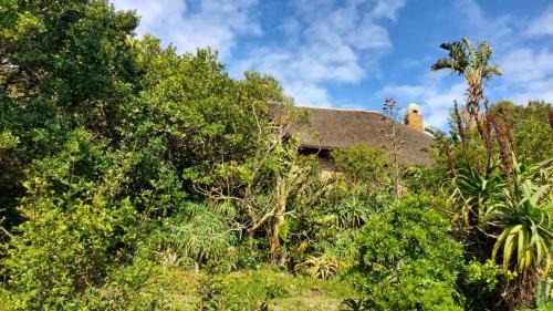 Oyster Bay Casa | Oysterbay Nature Retreat