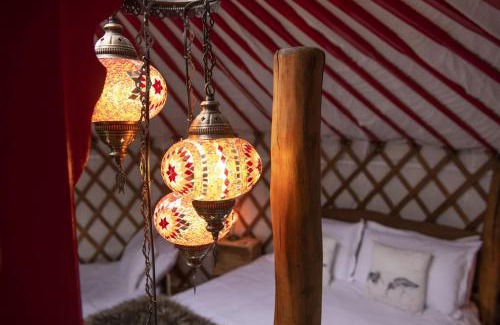 Hawes Casa | Oystercatcher