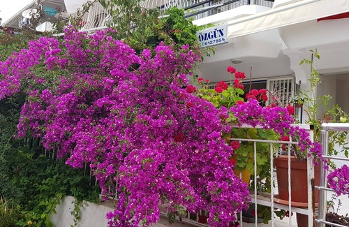 Kadnlar Denizi Mahallesi Apartamento | Ozgun Apart Hotel