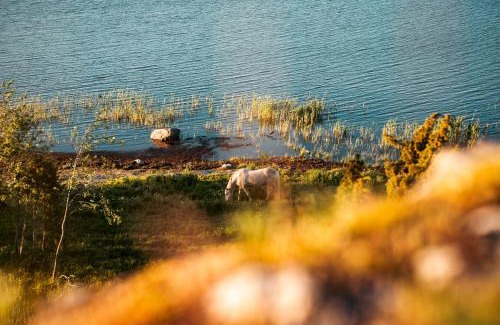 Koguva Chalet De Esquí | Pärdi suvemaja