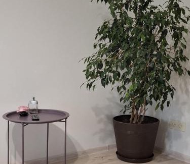 Ventspils Apartamento | P Stradina Street 21