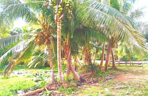 Pacific Harbour Casa | Pacific Harbor Eco Villa and Shark Dive Accomodations