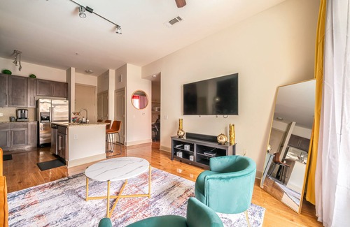 Astrodome Apartamento | PackHouse NRG/MED Center