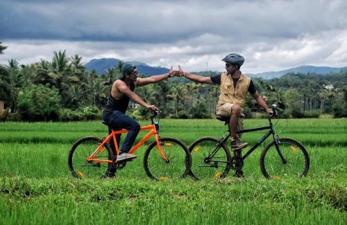 Mananthavady Cama Y Desayuno | Paddyfield Inn