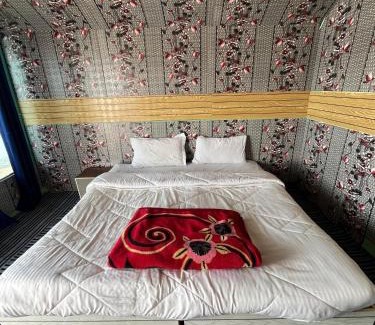 Spangmik Cabina | Padma Cottage Pangong
