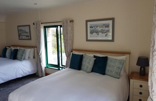 Galway Cama Y Desayuno | Padraicins