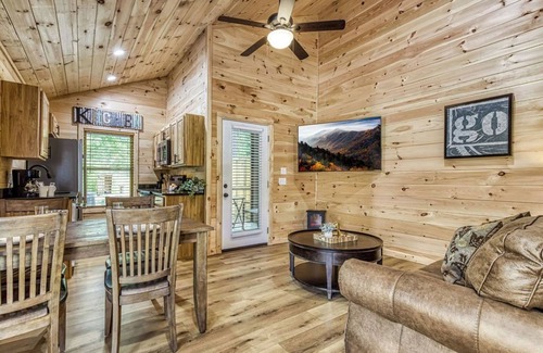 Cosby Cabaña | Painted Sky- Pickleball Court, Creek, WIFI, Mountain Views, Starting at $79"