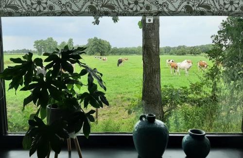 Geesteren Otro | Pak oe rust, bij stacaravan Busscher