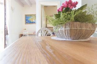 Otranto Hotel | Palascìa Wellness Relais