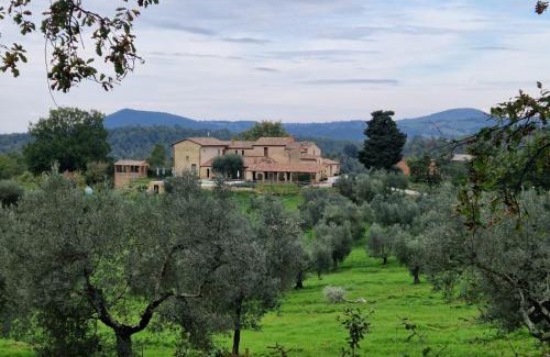 Pienza Casa | Palazzo Massaini - Cavarciano
