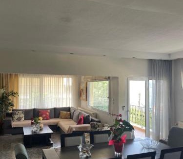 Palaio Tsifliki Apartamento | Palio Luxury Apartment