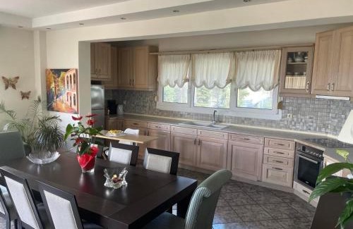 Palaio Tsifliki Apartamento | Palio Luxury Apartment