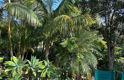 Palm Beach Cama Y Desayuno | Palm Beach Bed & Breakfast